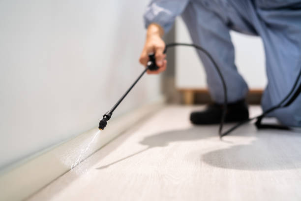 Licensed Mosquito Control service in Singac, NJ - Nex Pest Control