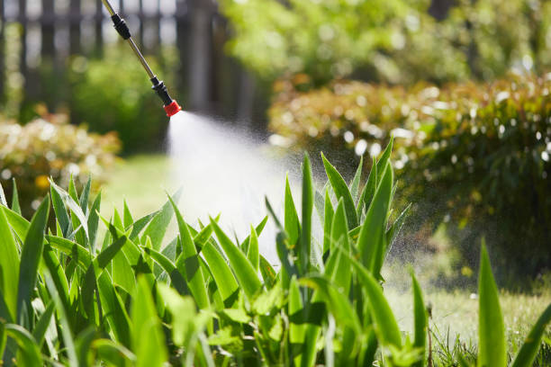 24/7 Emergency Mosquito Control experts in Singac, NJ