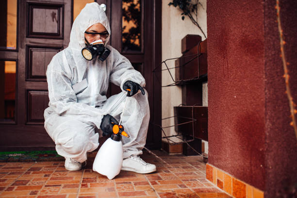 Reliable Mosquito Control contractor in Singac, NJ by Nex Pest Control